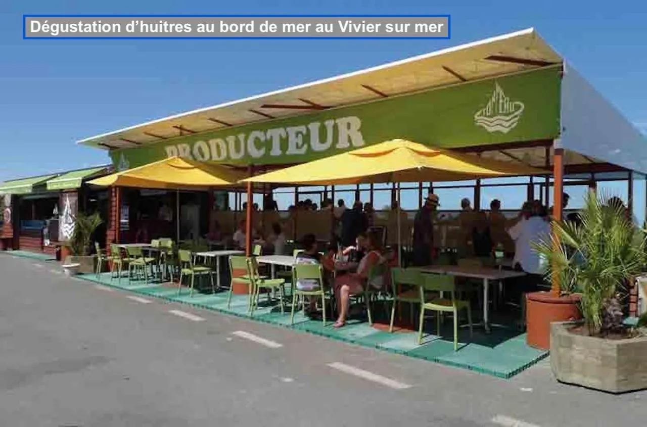 Magnifique appartement près de la mer, Jacuzzi, vélos électriques en Bretagne Le Vivier-sur-Mer 0*,  France
